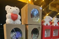 advent v marofu (14) advent v marofu (14)