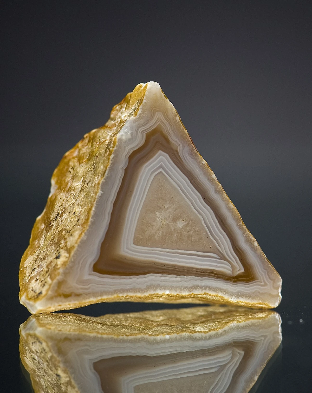 advent – vz zupanija darko gorenak 02