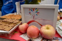 advent_u_atriju_kolaci_sarma_zaklada_vita_2025 (14)