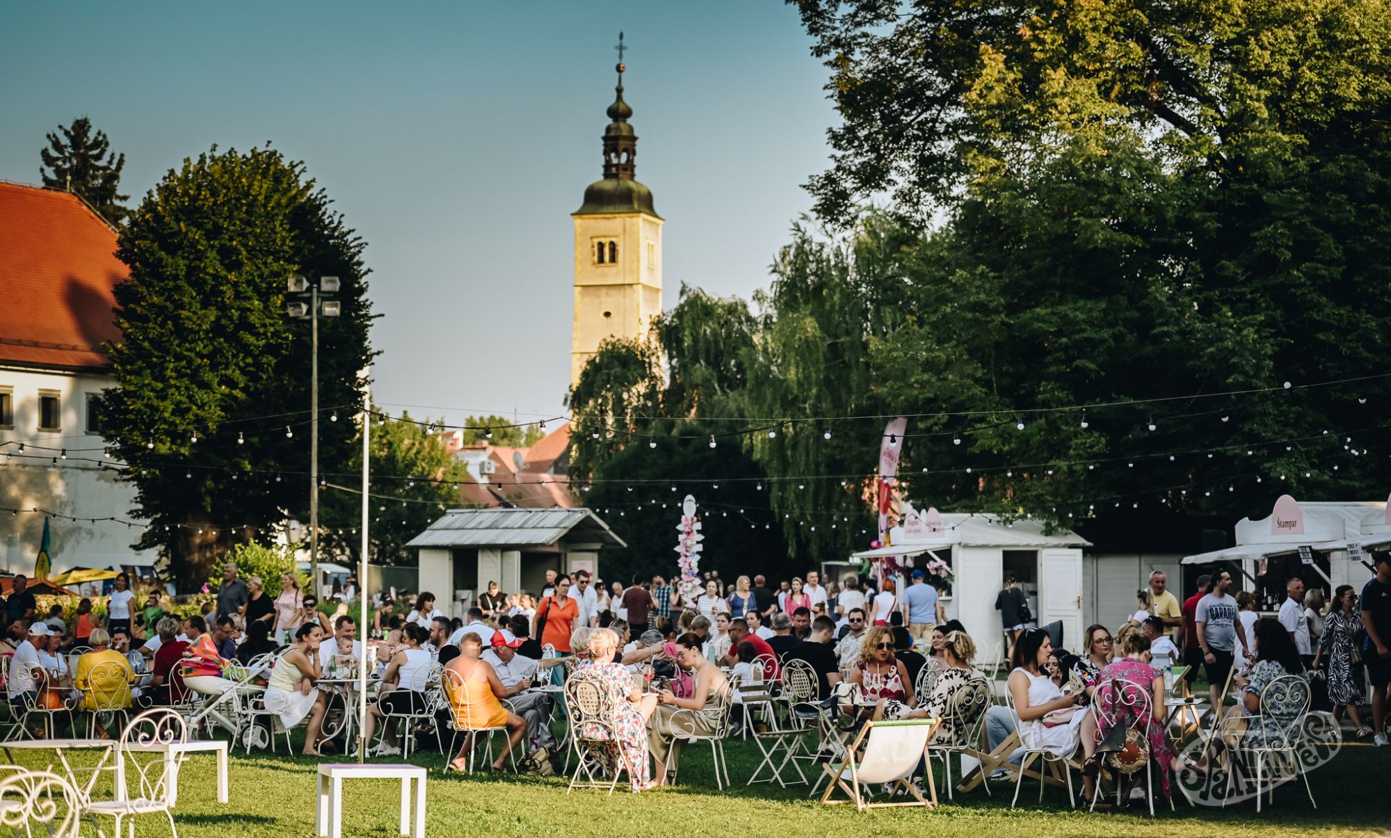 Image 5808861 (auto)