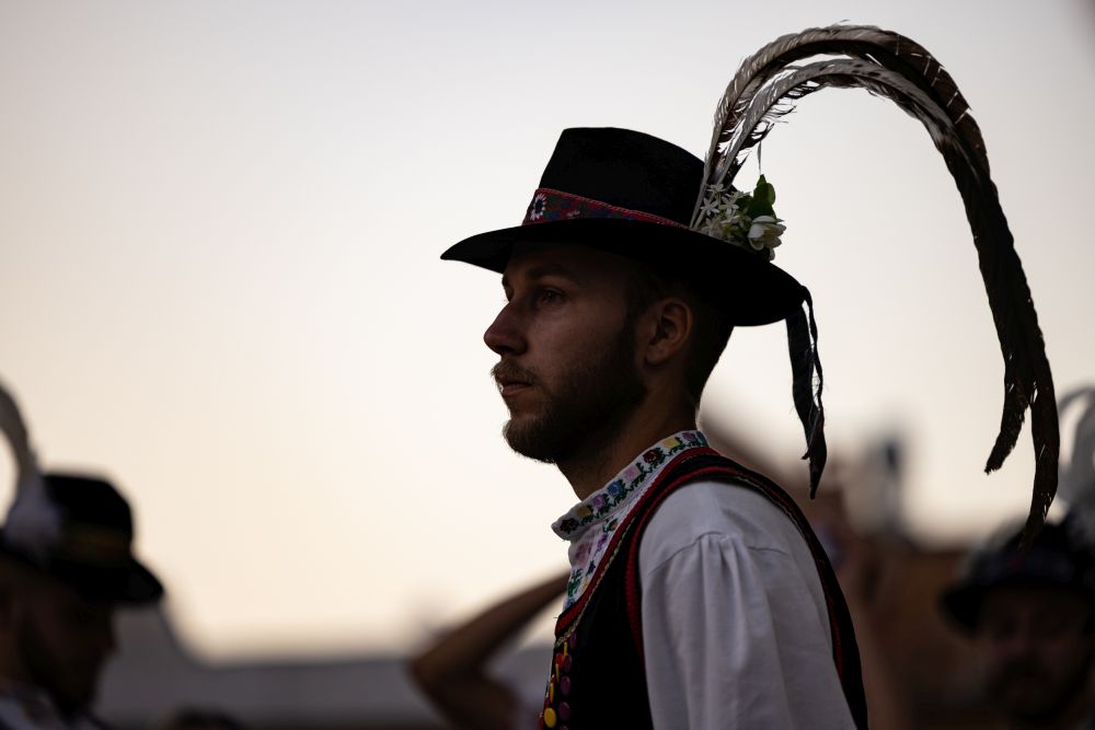 Image 5834327 (auto)