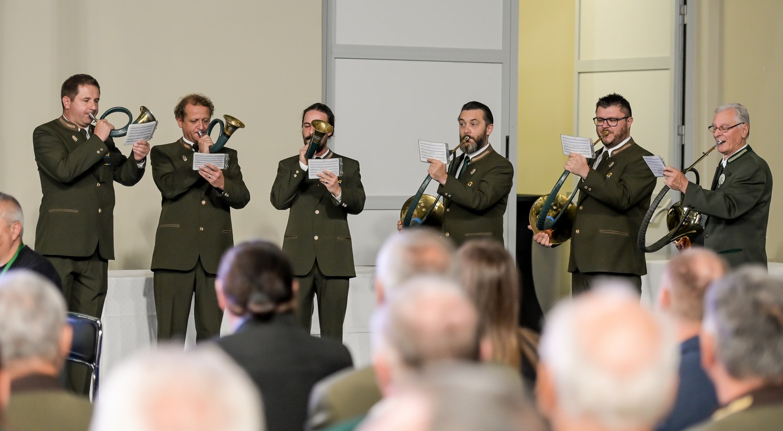 Image 5861195 (auto)