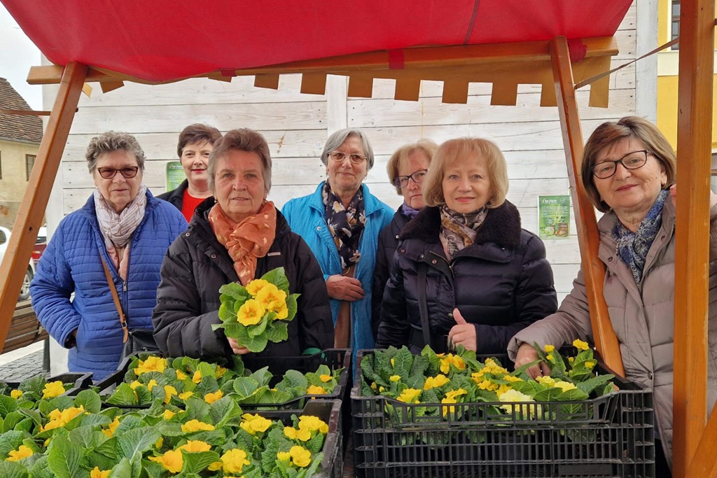 Image 5991027 (auto)