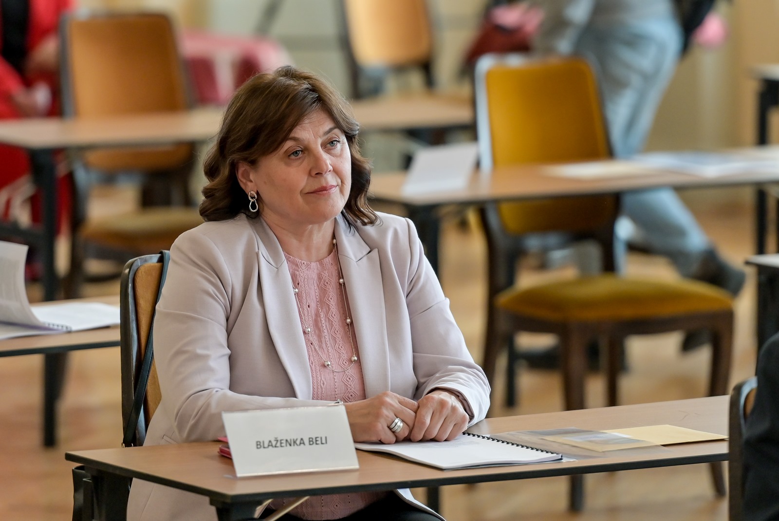 Gradsko vijeće 2023