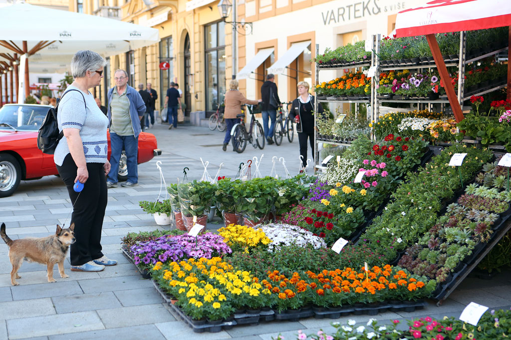 sajamobrtnika2303698