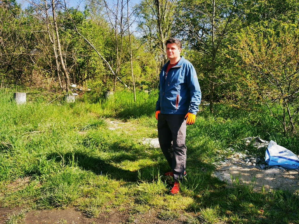 Image 5666877 (auto)