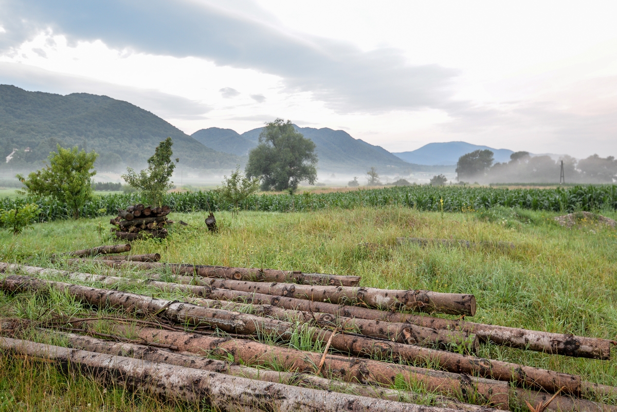 Hodočašće Marija Bistrica Hodočašće Marija Bistrica