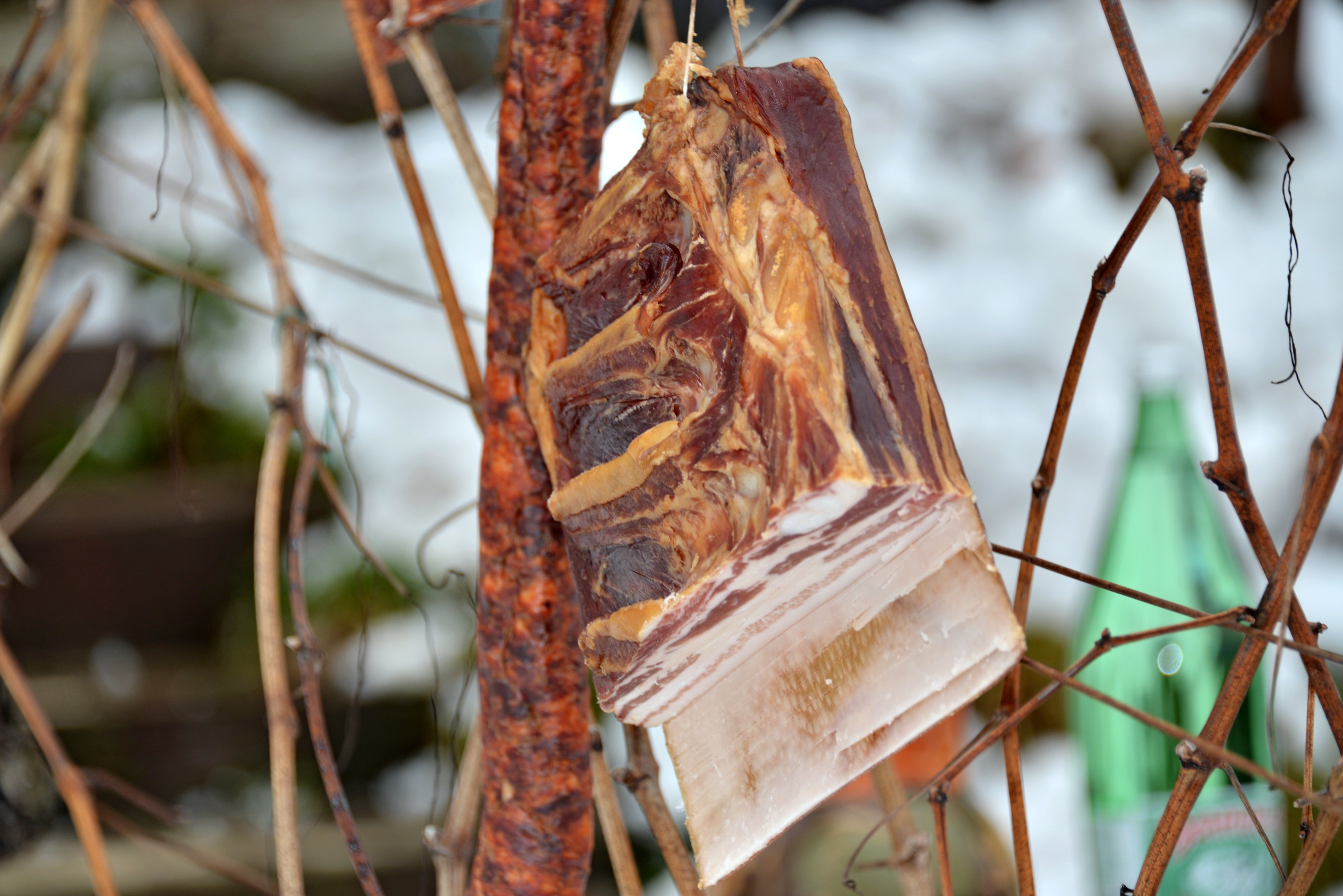 Varaždinske Toplice Varaždinske Toplice