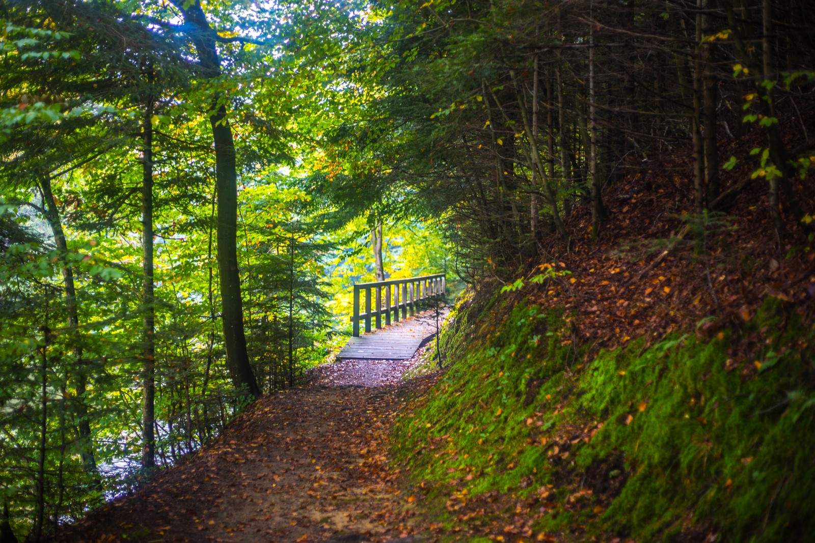 Jesen u Trakošćanu