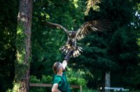 aquafest prvi dan (9)