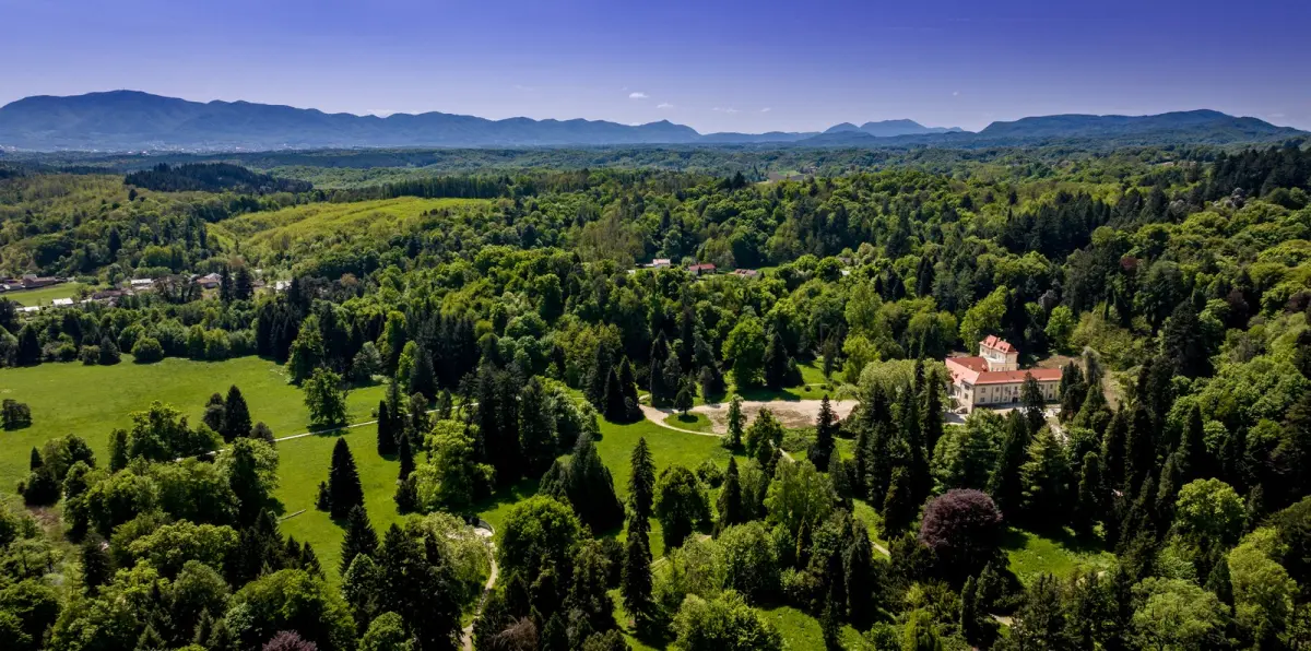arboretum_opeka_IZ_ZRAKA_travanj_2025 (2)