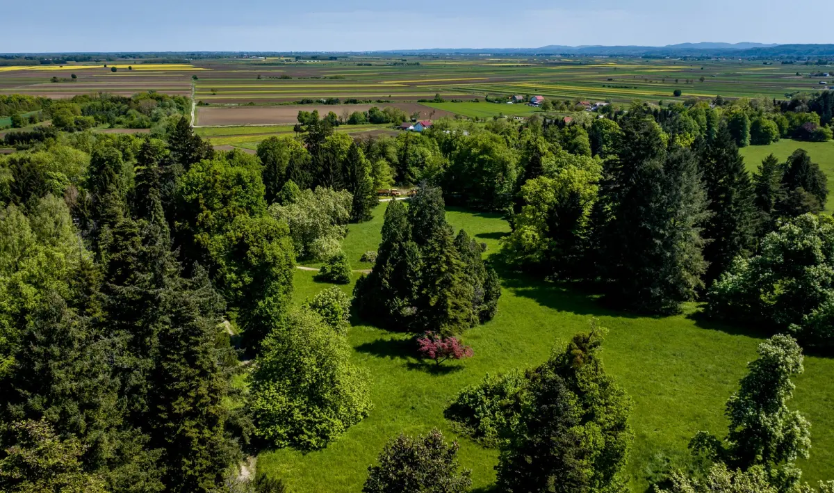 arboretum_opeka_IZ_ZRAKA_travanj_2025 (3)