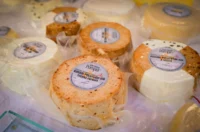 atrij_spancirfest_2025 (8) – vz zup atrij_spancirfest_2025 (8) – vz zup