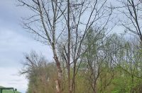 att.08NOIreb_xpKZdge4aVIuubgtvTny9QqMnHTq2KsE_M att.08NOIreb_xpKZdge4aVIuubgtvTny9QqMnHTq2KsE_M