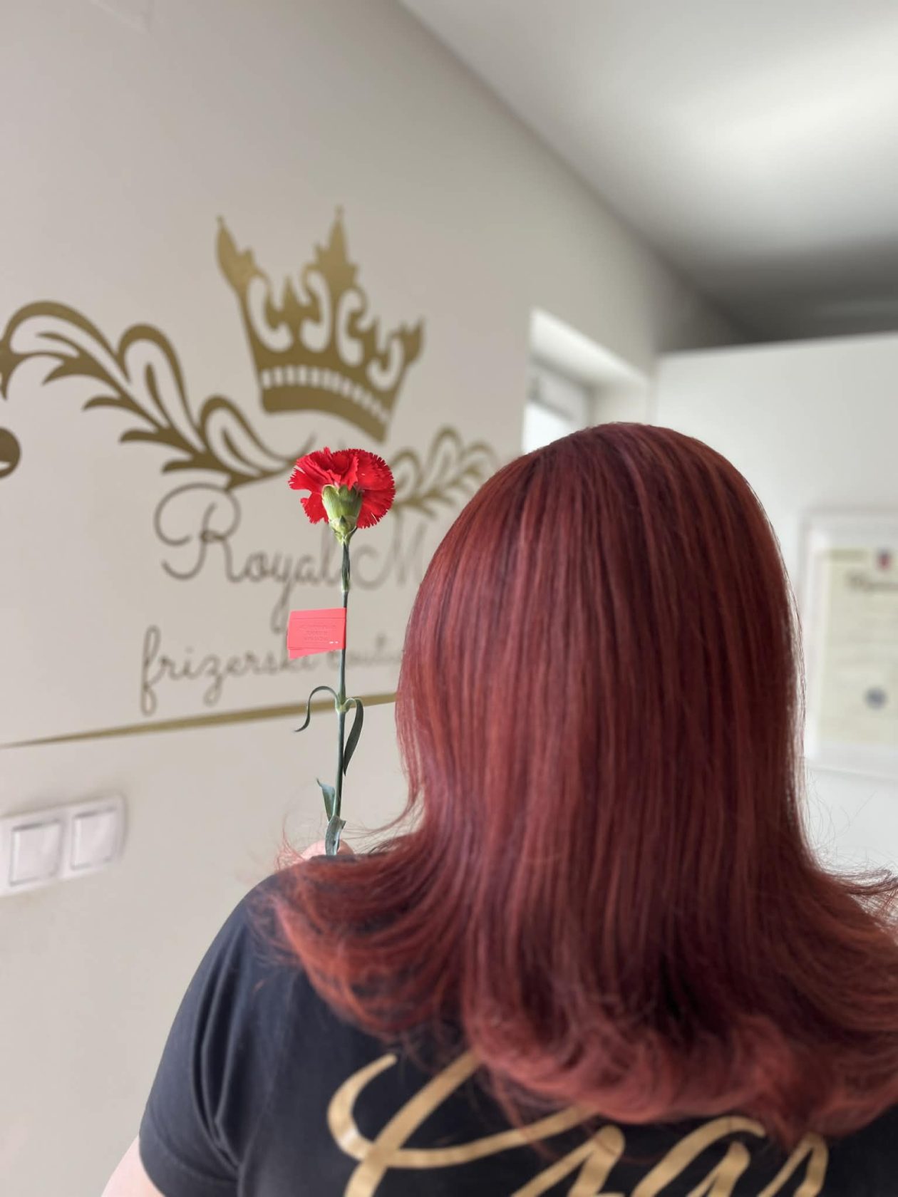 att.1Opzs61aqVOityXKZWlGblK9eV7uSiGVef6YlQo54Co