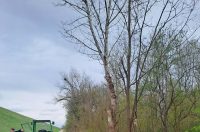 att.HB-SV8puV0igukEnZxuOPb5lUSG8GFZO7bapPRats1o att.HB-SV8puV0igukEnZxuOPb5lUSG8GFZO7bapPRats1o