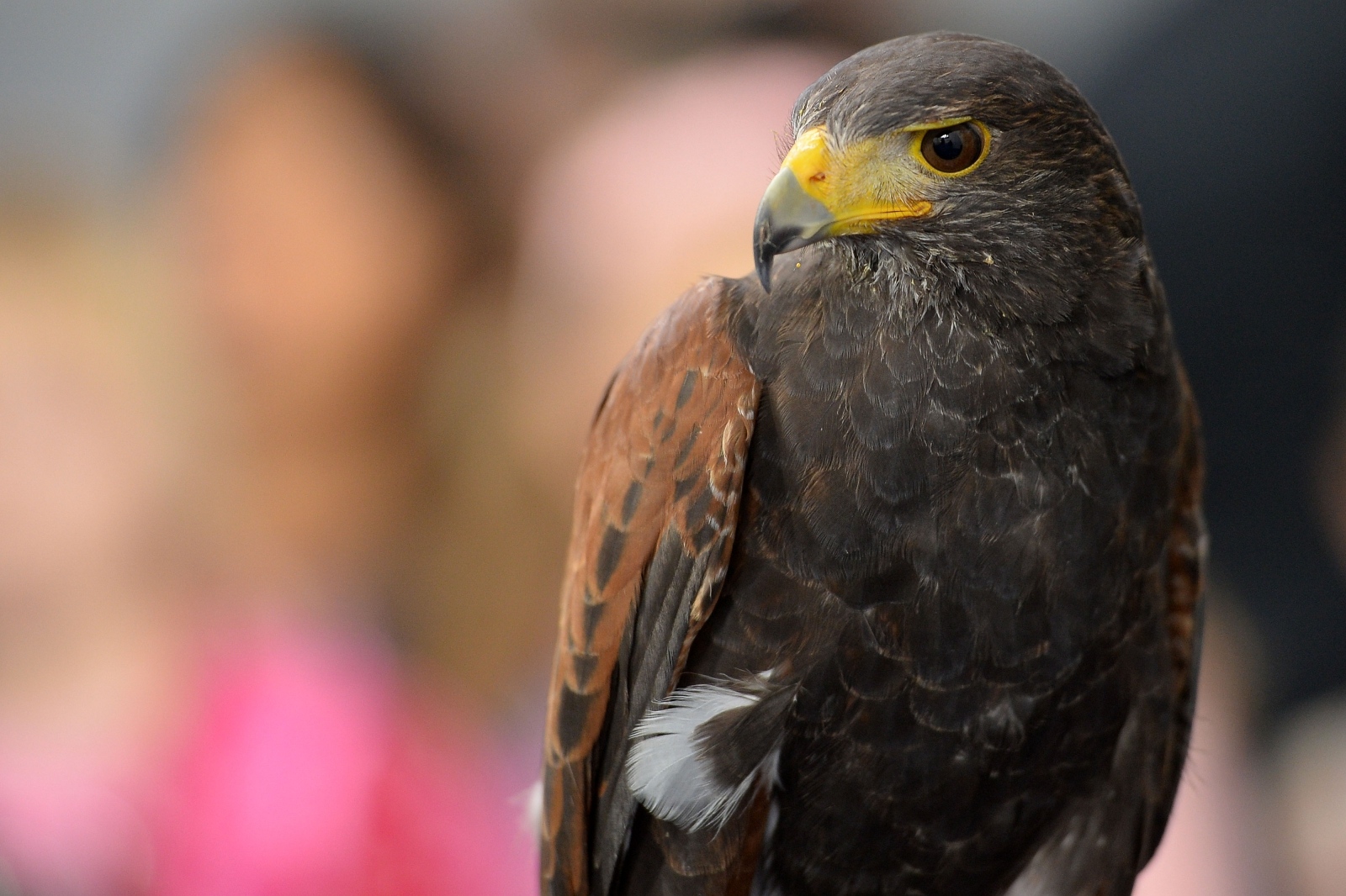 23. Sajam priroda, lov, ribolov, turizam