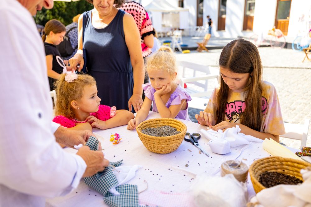 Image 5834235 (auto)