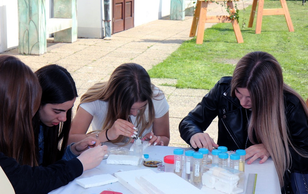 Prva privatna gimnazija s pravom javnosti