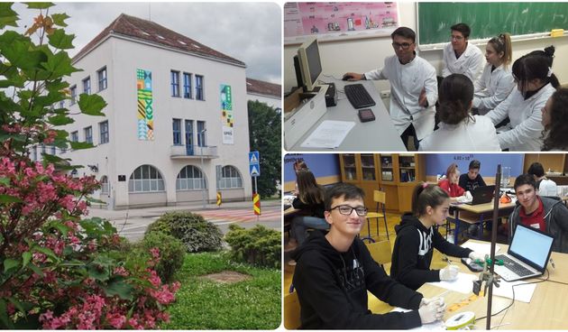 Image 4947864 (auto)