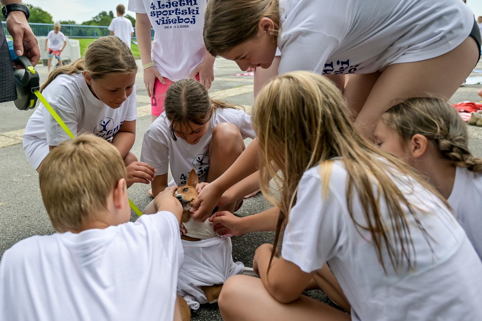 Image 5758303 (auto)