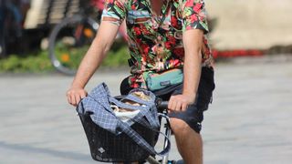 Image 5430916 (auto)