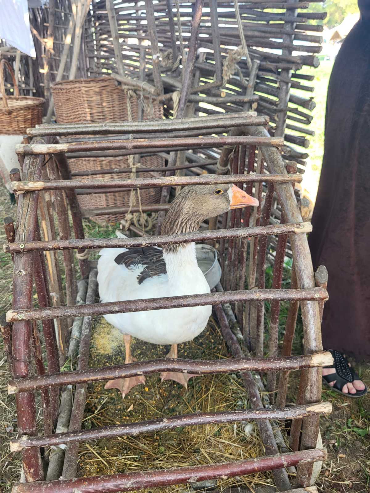 NA KOPRVNIČKIM BEDEMIMA Renesansni festival i ove godine privukao mnoštvo posjetitelja