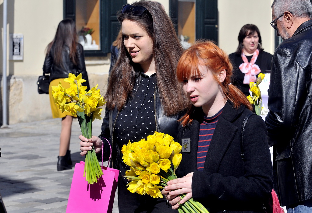 Dan narcisa Dan narcisa