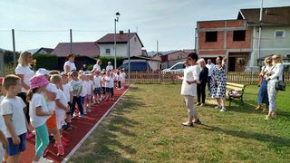 Image 5836325 (auto)