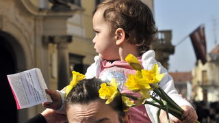 Dan narcisa Dan narcisa