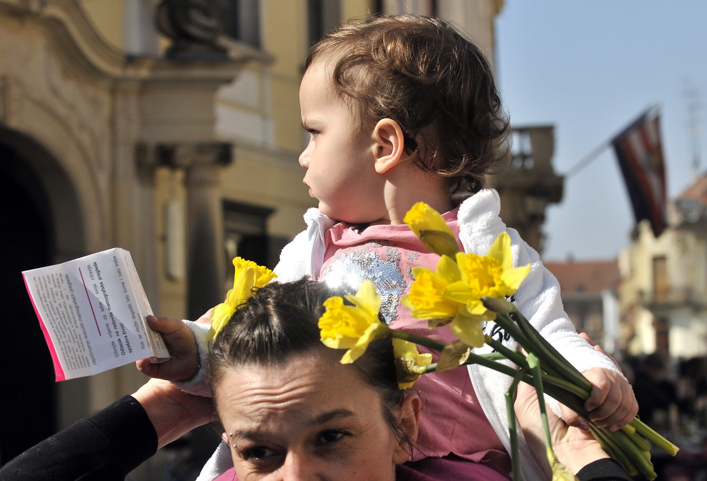 Dan narcisa Dan narcisa