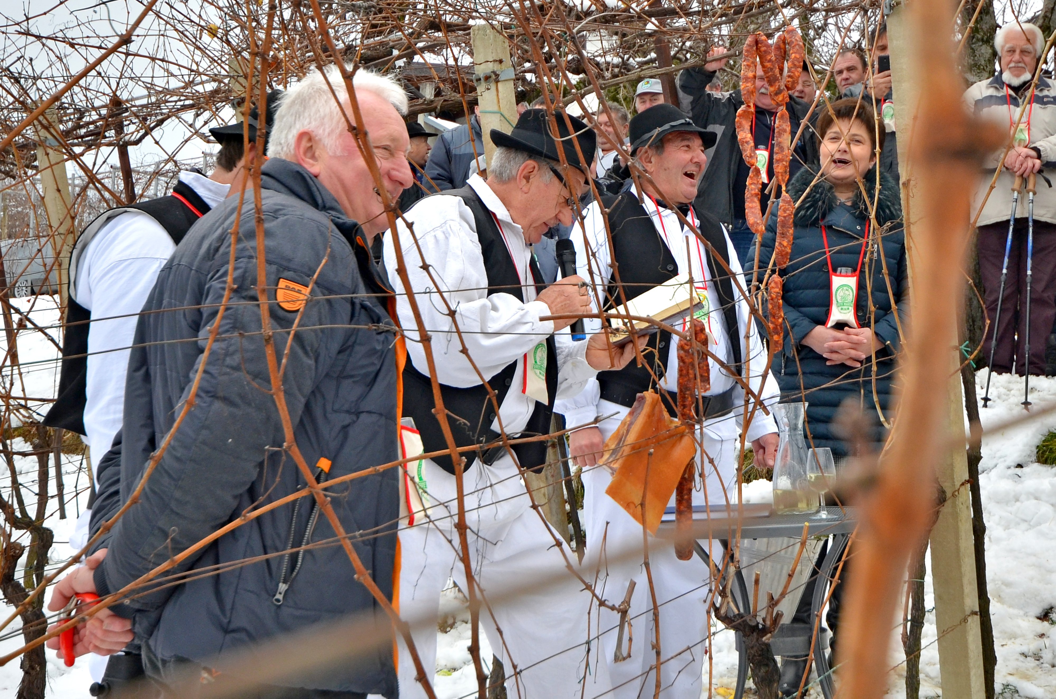 Varaždinske Toplice Varaždinske Toplice