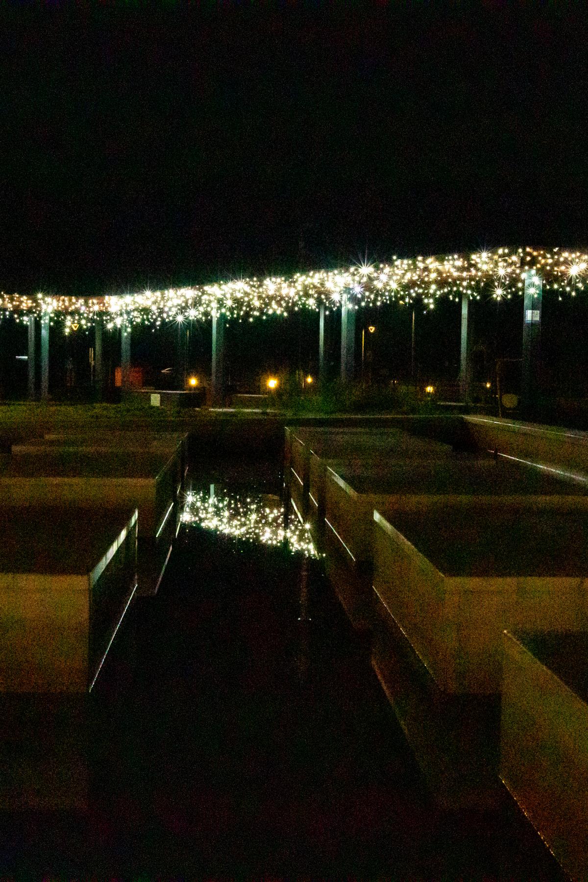 Image 5535268 (auto)