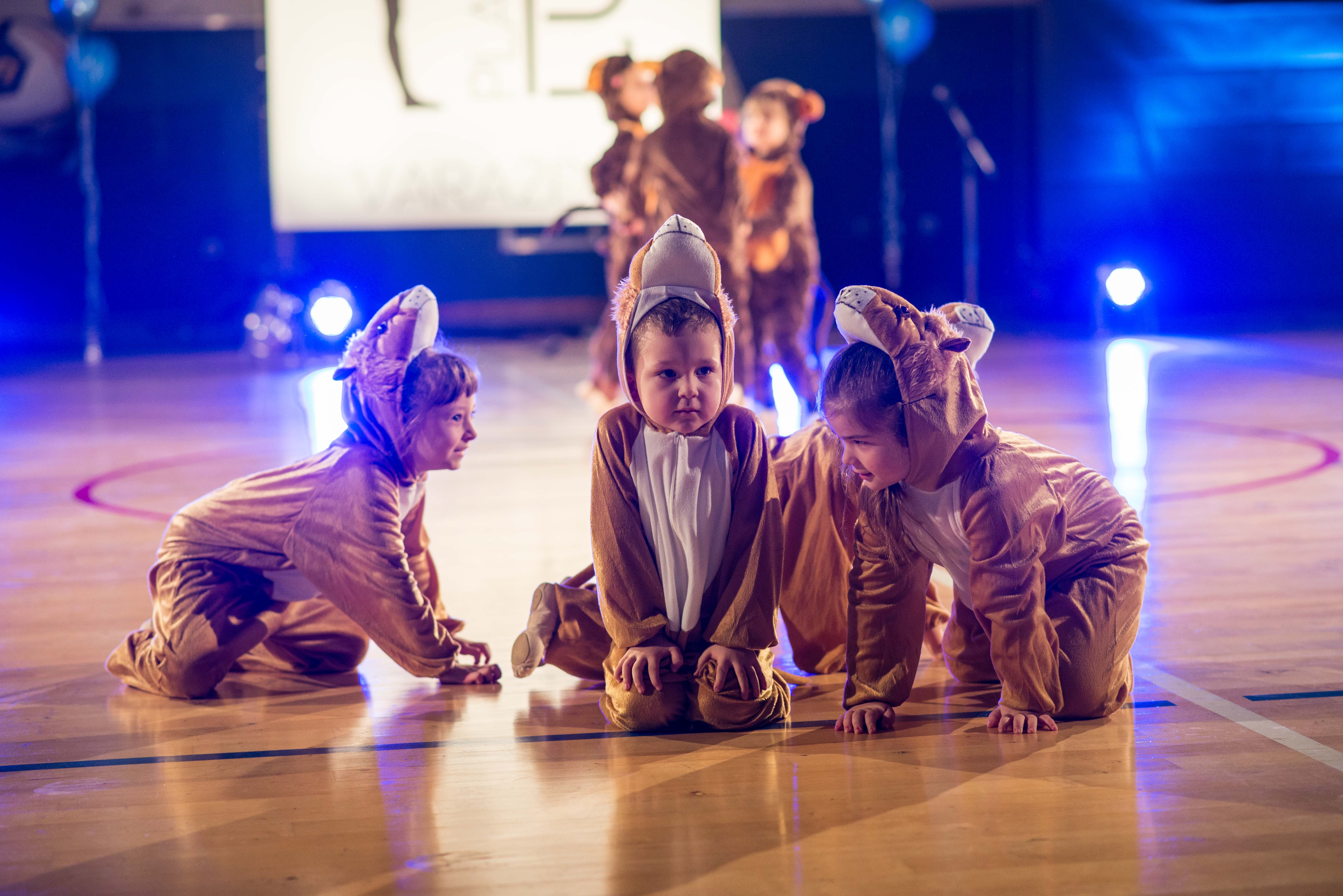 Ples, plesni klub plan b Ples, plesni klub plan b