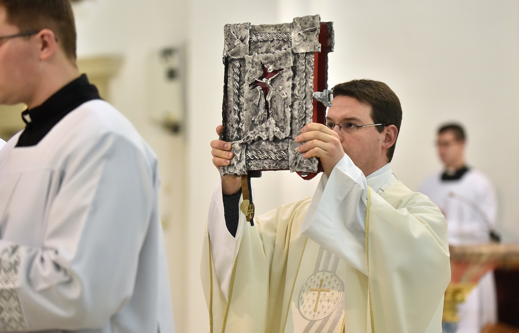 Image 5568803 (auto)