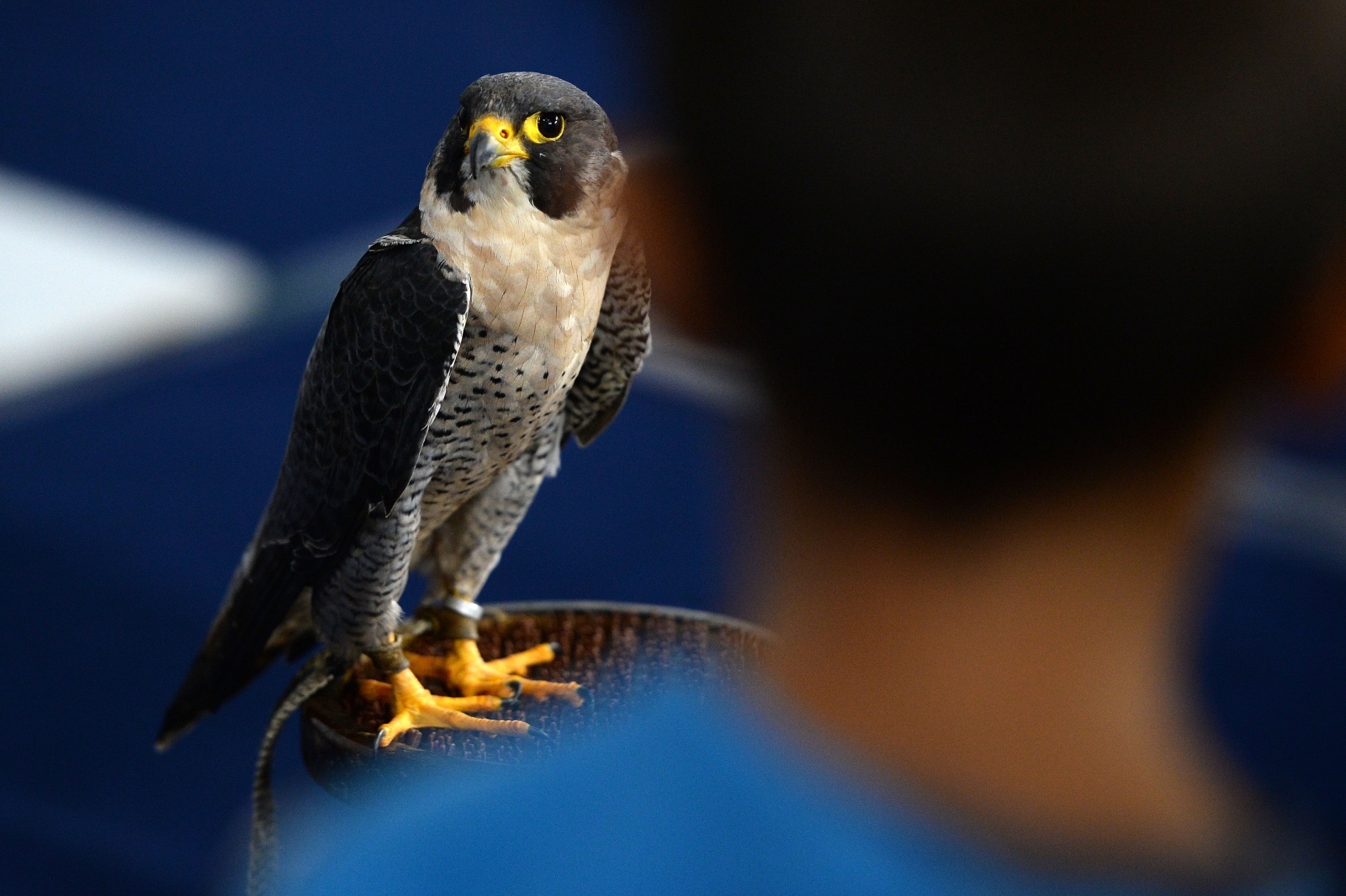 23. Sajam priroda, lov, ribolov, turizam