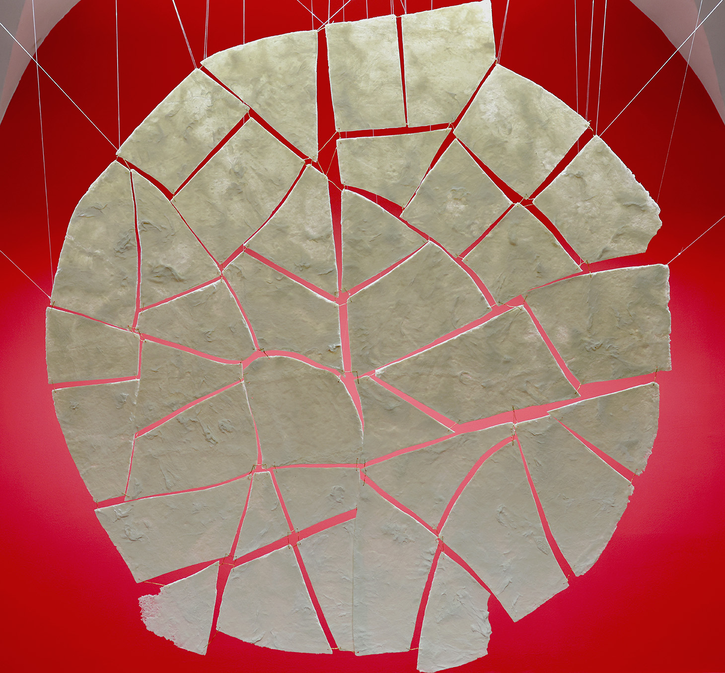 Image 5530638 (auto)