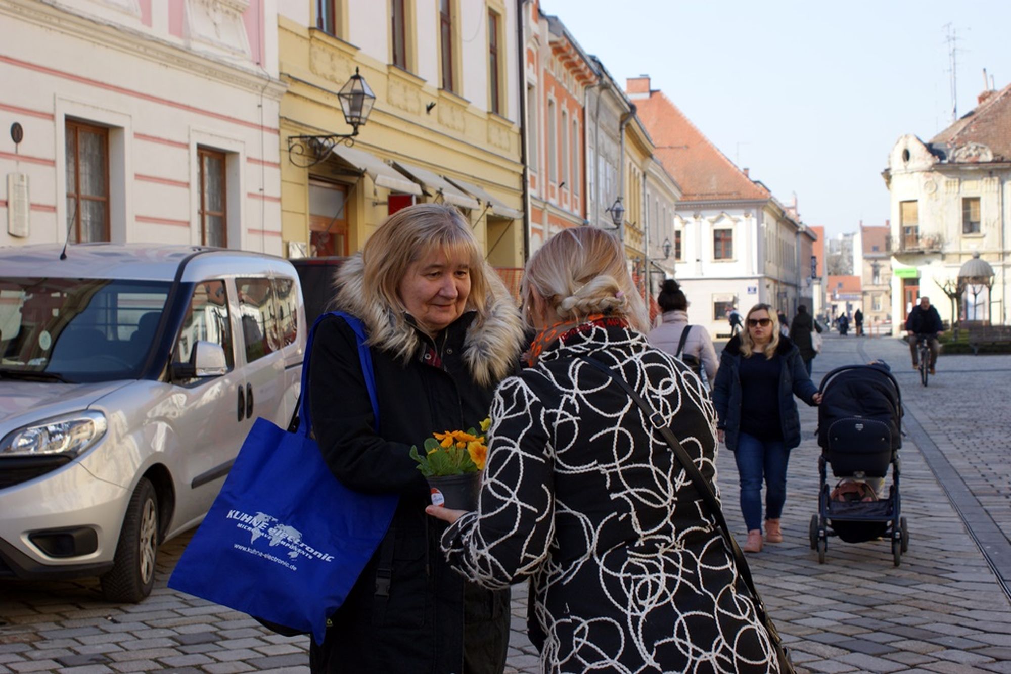 Image 5621907 (auto)