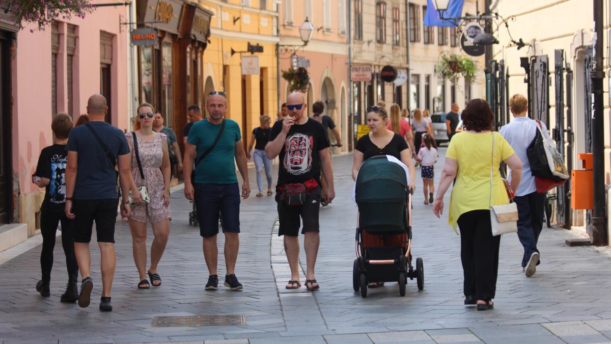 Image 5776449 (auto)