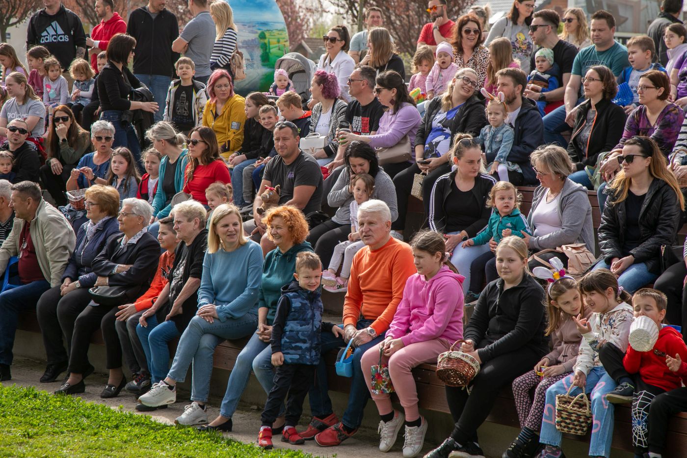 Image 6005811 (auto)