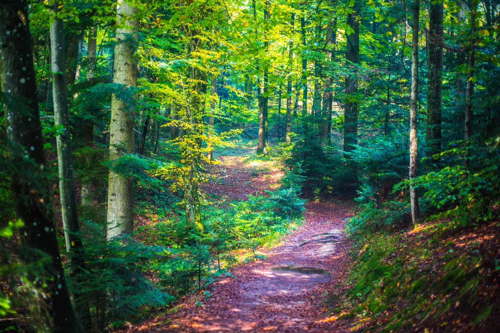 Jesen u Trakošćanu