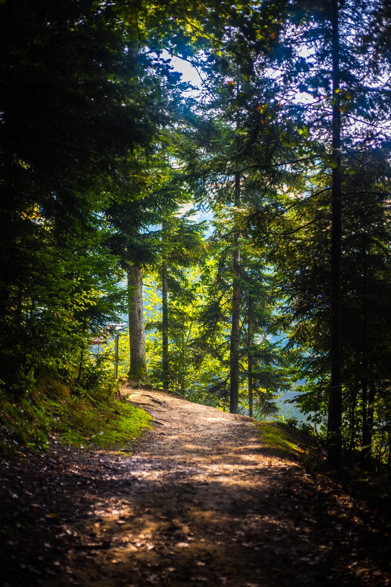 Jesen u Trakošćanu