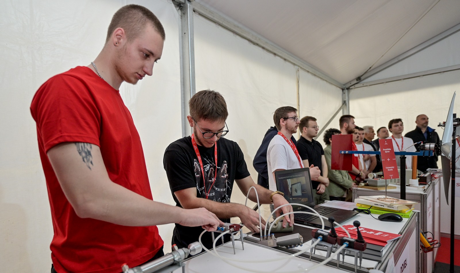 Image 5668911 (auto)