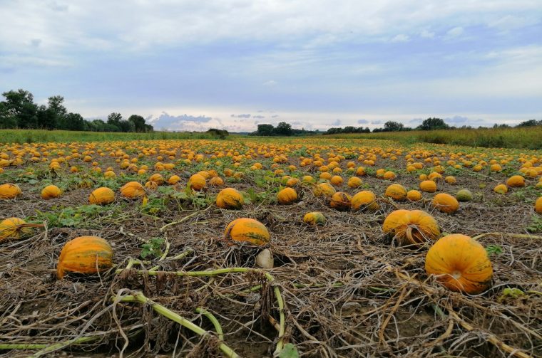 b741775e-2edb-4323-abfd-d7b9da977c84