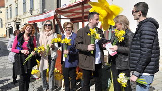 Dan narcisa Dan narcisa