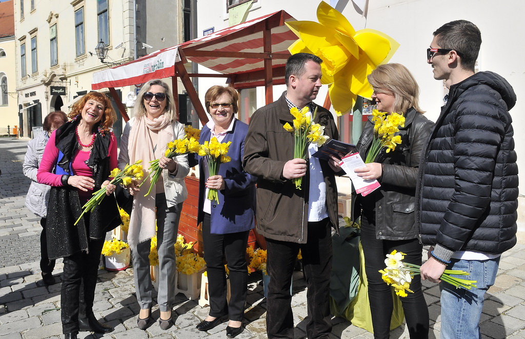 Dan narcisa Dan narcisa