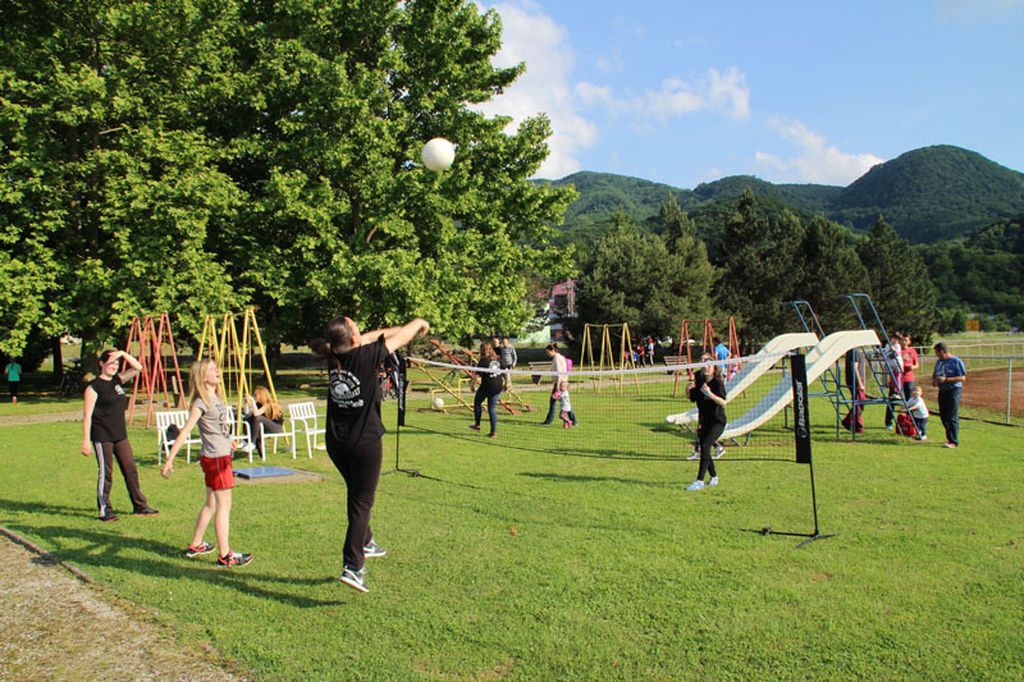 dansportaulepoglavi5420001