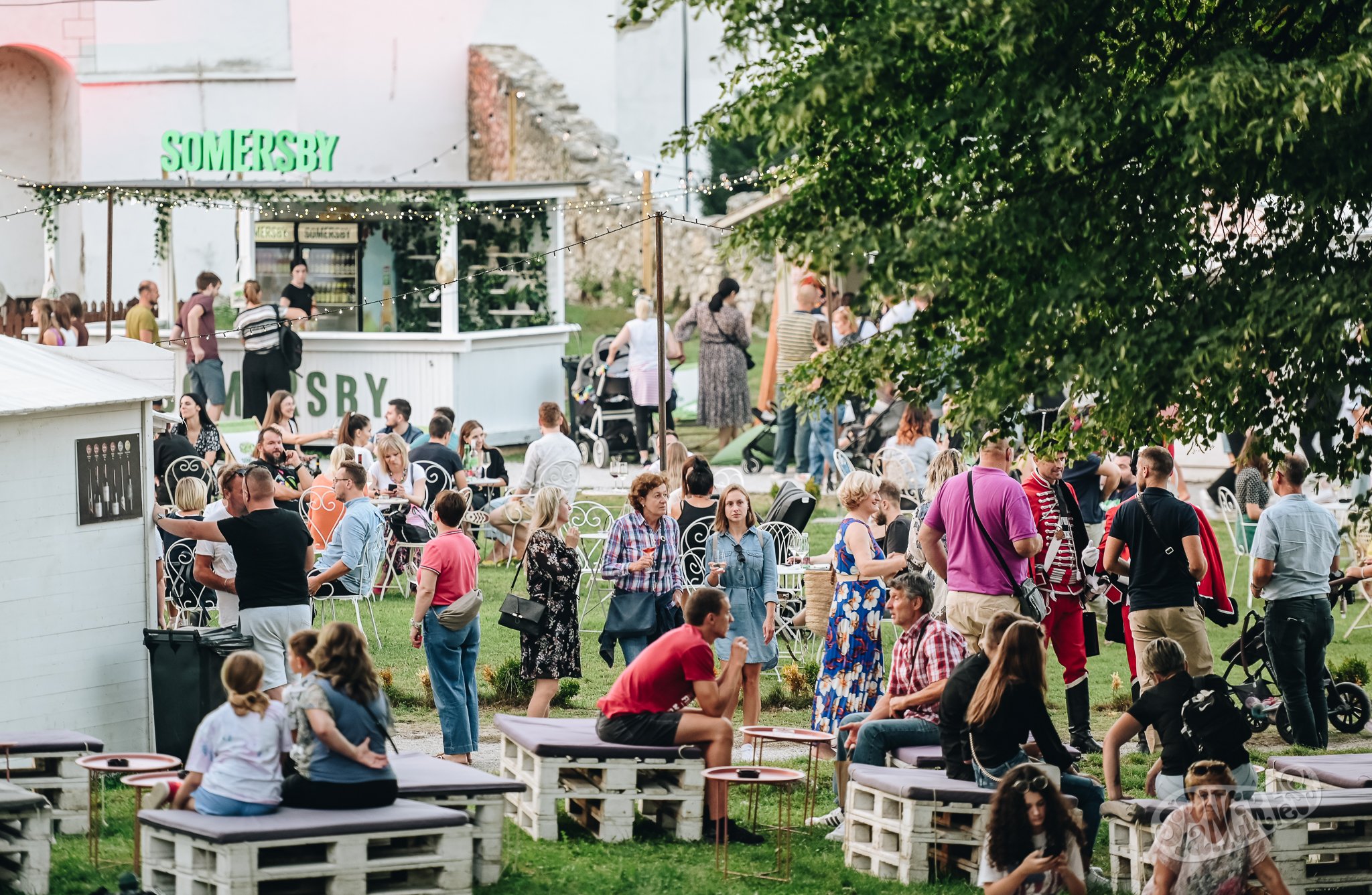 Image 5455182 (auto)