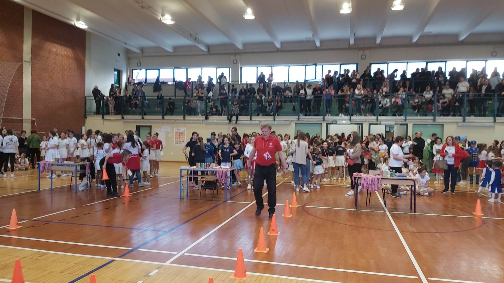 Image 5635271 (auto)