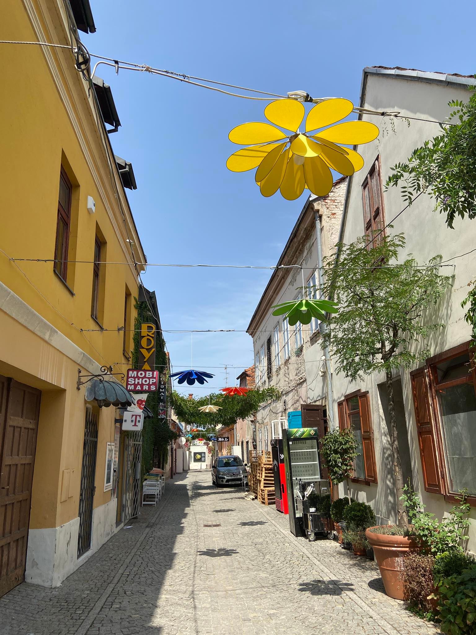 Image 5449700 (auto)